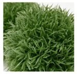 IKEA FEJKA Artificial Grass Ball (2PC)