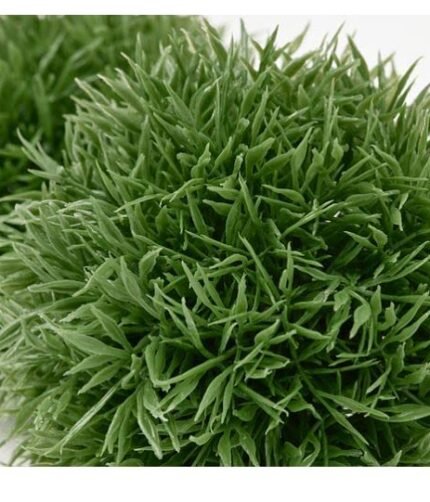 IKEA FEJKA Artificial Grass Ball (2PC)
